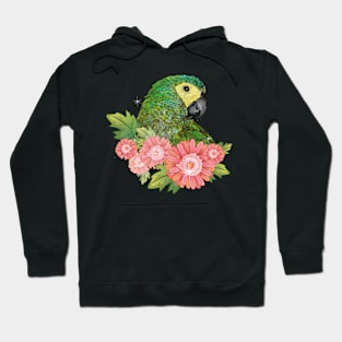 Red-bellied Macaw Hoodie